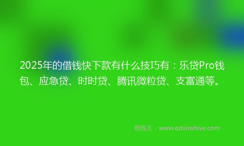 2025年的借钱快下款有什么技巧有：乐贷Pro钱包、应急贷、时时贷、腾讯微粒贷、支富通等。