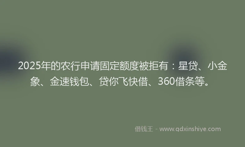2025年的农行申请固定额度被拒有：星贷、小金象、金速钱包、贷你飞快借、360借条等。