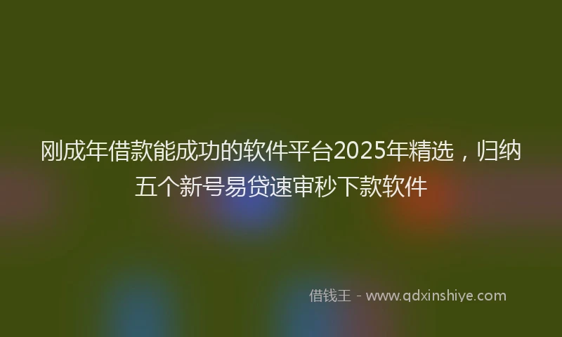 刚成年借款能成功的软件平台2025年精选，归纳五个新号易贷速审秒下款软件