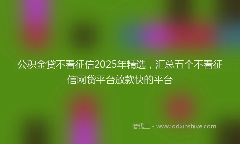 公积金贷不看征信2025年精选，汇总五个不看征信网贷平台放款快的平台