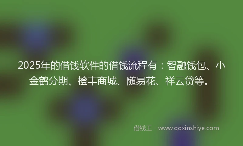 2025年的借钱软件的借钱流程有：智融钱包、小金鹤分期、橙丰商城、随易花、祥云贷等。