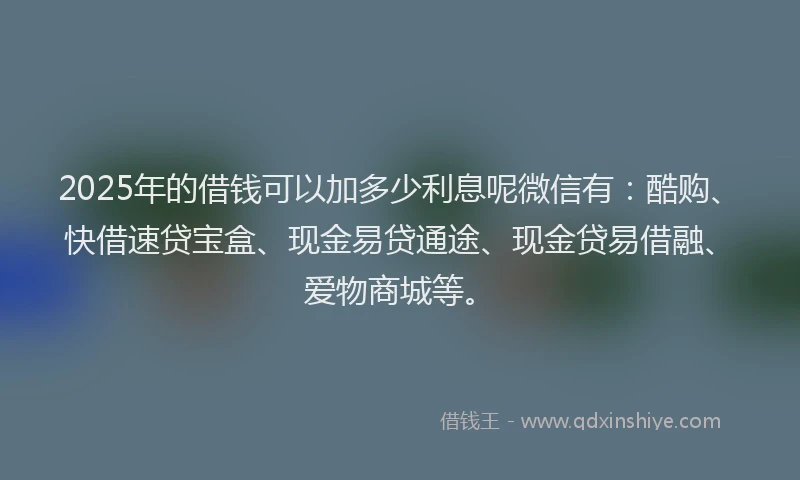 2025年的借钱可以加多少利息呢微信有：酷购、快借速贷宝盒、现金易贷通途、现金贷易借融、爱物商城等。