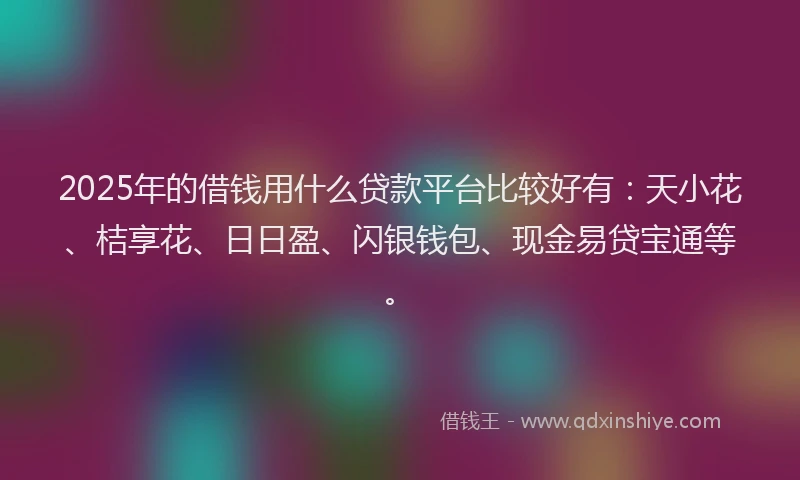 2025年的借钱用什么贷款平台比较好有：天小花、桔享花、日日盈、闪银钱包、现金易贷宝通等。