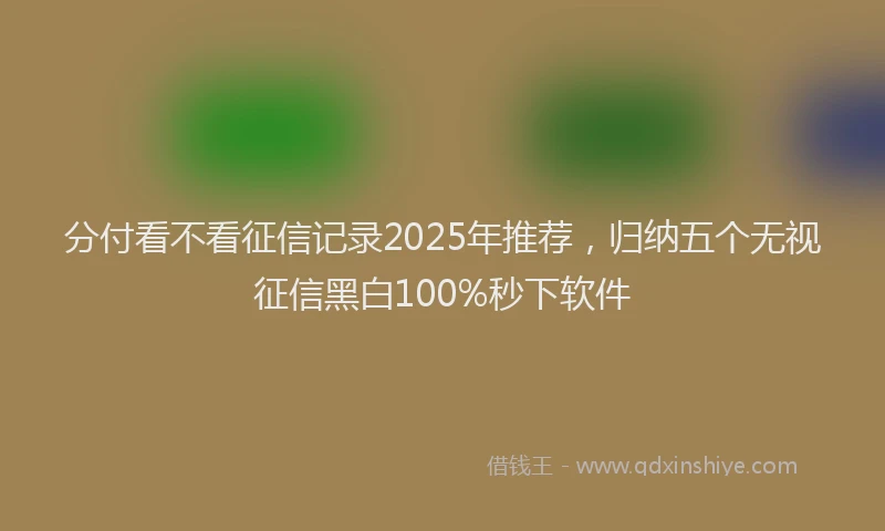 分付看不看征信记录2025年推荐，归纳五个无视征信黑白100%秒下软件