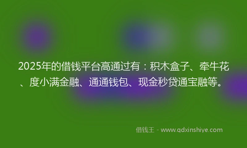 2025年的借钱平台高通过有：积木盒子、牵牛花、度小满金融、通通钱包、现金秒贷通宝融等。