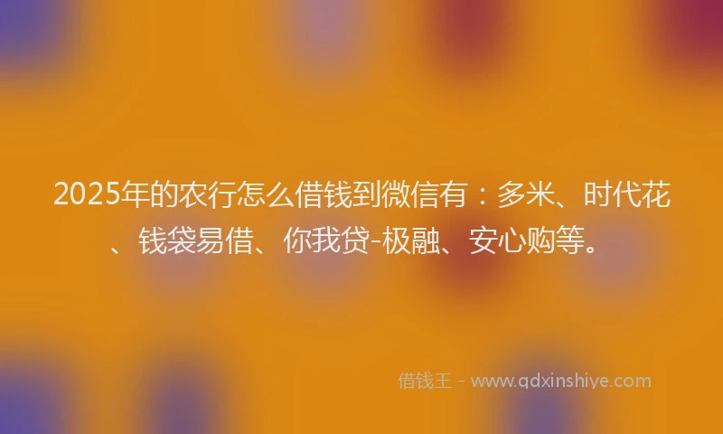 2025年的农行怎么借钱到微信有：多米、时代花、钱袋易借、你我贷-极融、安心购等。