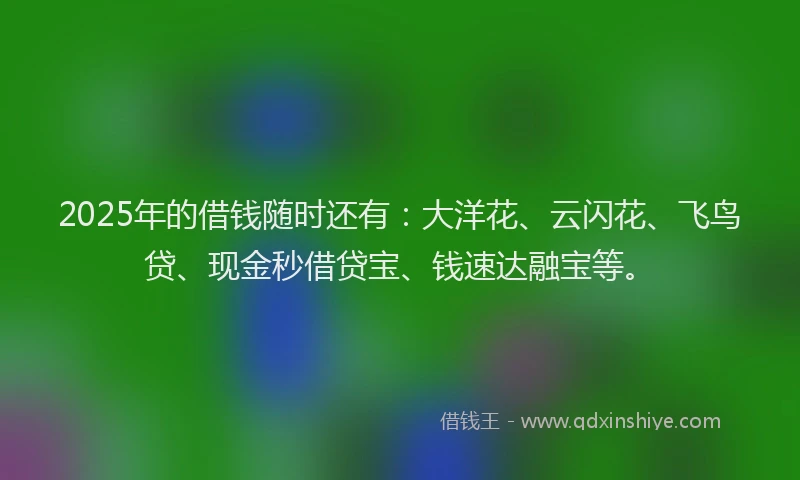 2025年的借钱随时还有：大洋花、云闪花、飞鸟贷、现金秒借贷宝、钱速达融宝等。