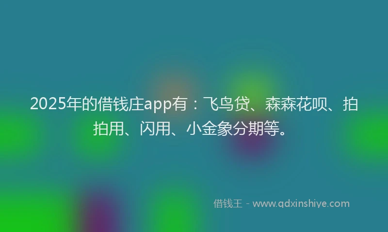 2025年的借钱庄app有：飞鸟贷、森森花呗、拍拍用、闪用、小金象分期等。