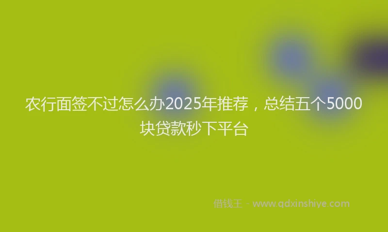 农行面签不过怎么办2025年推荐，总结五个5000块贷款秒下平台