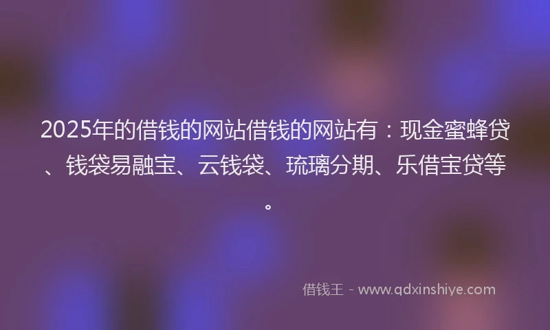 2025年的借钱的网站借钱的网站有：现金蜜蜂贷、钱袋易融宝、云钱袋、琉璃分期、乐借宝贷等。