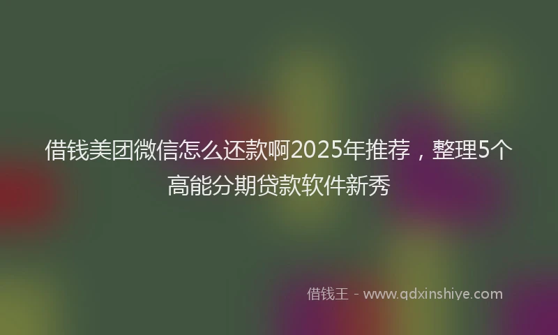 借钱美团微信怎么还款啊2025年推荐，整理5个高能分期贷款软件新秀