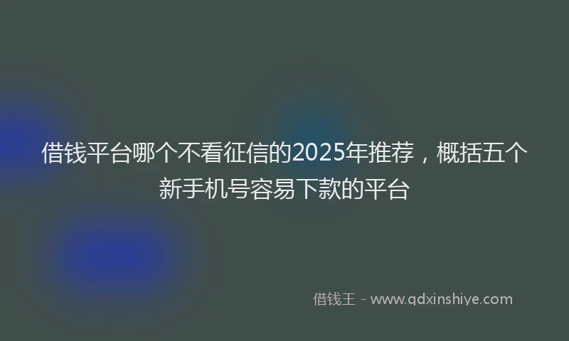 借钱平台哪个不看征信的2025年推荐，概括五个新手机号容易下款的平台