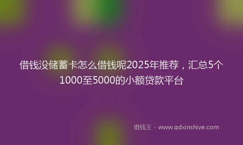 借钱没储蓄卡怎么借钱呢2025年推荐，汇总5个1000至5000的小额贷款平台