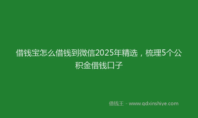 借钱宝怎么借钱到微信2025年精选，梳理5个公积金借钱口子