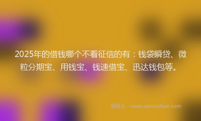 2025年的借钱哪个不看征信的有：钱袋瞬贷、微粒分期宝、用钱宝、钱速借宝、迅达钱包等。