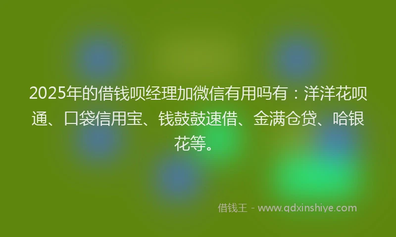 2025年的借钱呗经理加微信有用吗有：洋洋花呗通、口袋信用宝、钱鼓鼓速借、金满仓贷、哈银花等。