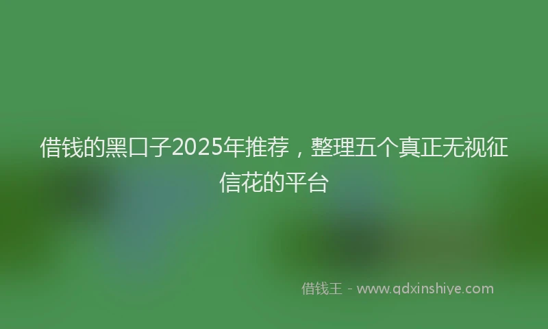 借钱的黑口子2025年推荐，整理五个真正无视征信花的平台