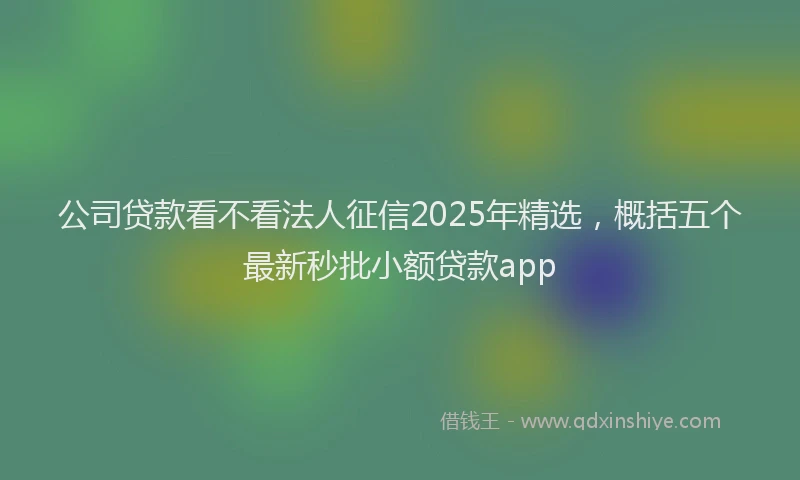 公司贷款看不看法人征信2025年精选，概括五个最新秒批小额贷款app