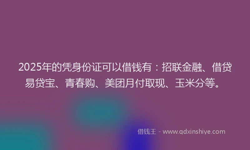 2025年的凭身份证可以借钱有：招联金融、借贷易贷宝、青春购、美团月付取现、玉米分等。