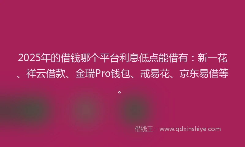 2025年的借钱哪个平台利息低点能借有：新一花、祥云借款、金瑞Pro钱包、戒易花、京东易借等。