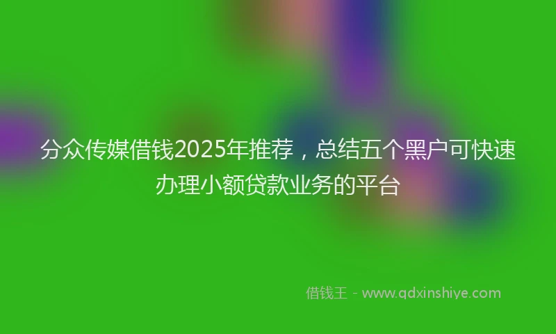 分众传媒借钱2025年推荐，总结五个黑户可快速办理小额贷款业务的平台