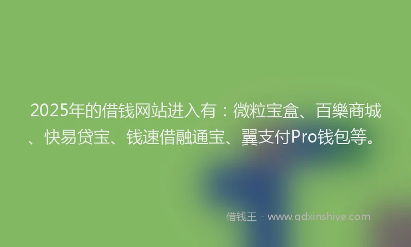 2025年的借钱网站进入有：微粒宝盒、百樂商城、快易贷宝、钱速借融通宝、翼支付Pro钱包等。