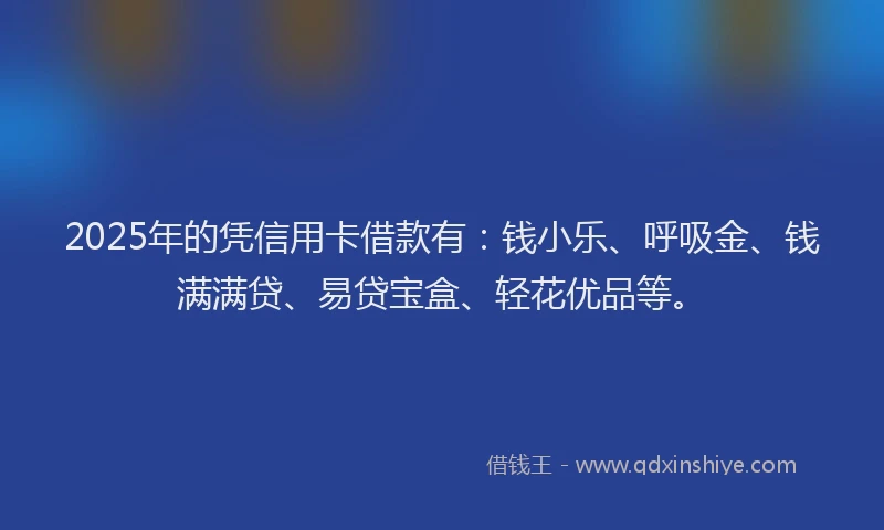 2025年的凭信用卡借款有：钱小乐、呼吸金、钱满满贷、易贷宝盒、轻花优品等。