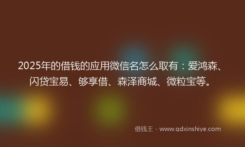 2025年的借钱的应用微信名怎么取有：爱鸿森、闪贷宝易、够享借、森泽商城、微粒宝等。