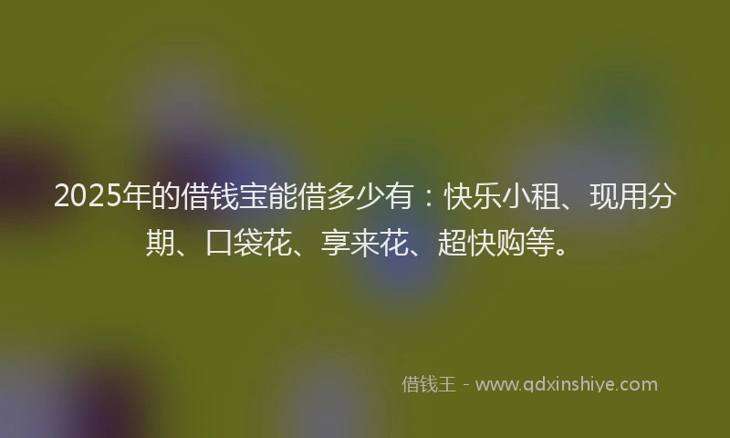 2025年的借钱宝能借多少有：快乐小租、现用分期、口袋花、享来花、超快购等。