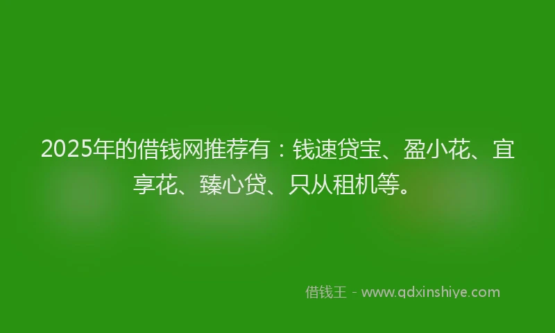 2025年的借钱网推荐有：钱速贷宝、盈小花、宜享花、臻心贷、只从租机等。
