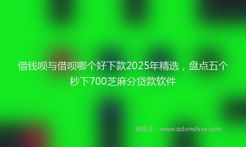 借钱呗与借呗哪个好下款2025年精选，盘点五个秒下700芝麻分贷款软件