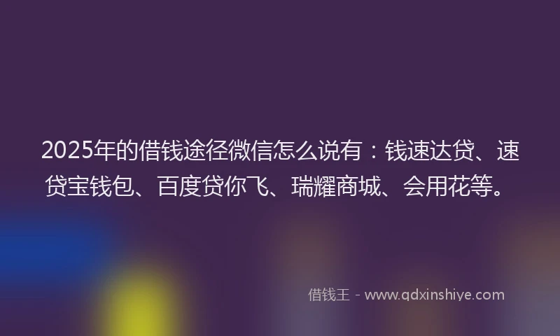 2025年的借钱途径微信怎么说有：钱速达贷、速贷宝钱包、百度贷你飞、瑞耀商城、会用花等。