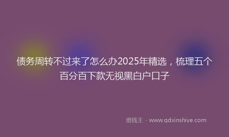 债务周转不过来了怎么办2025年精选，梳理五个百分百下款无视黑白户口子