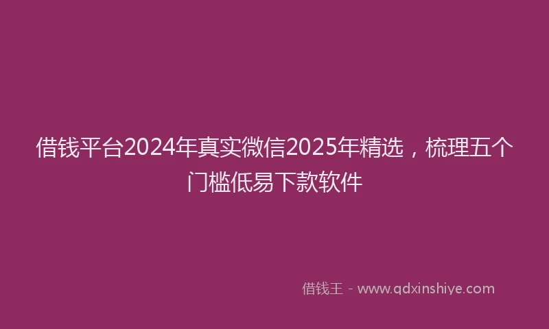 借钱平台2024年真实微信2025年精选，梳理五个门槛低易下款软件