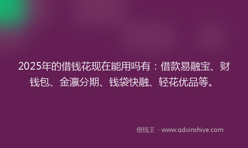 2025年的借钱花现在能用吗有：借款易融宝、财钱包、金瀛分期、钱袋快融、轻花优品等。