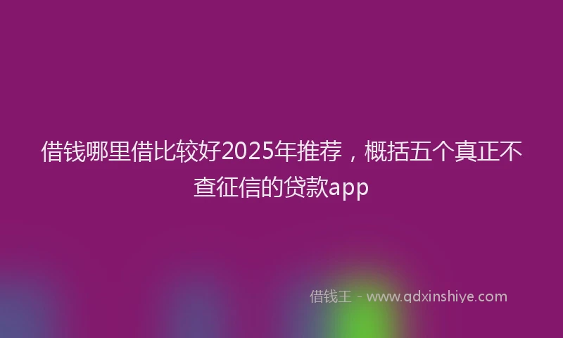 借钱哪里借比较好2025年推荐，概括五个真正不查征信的贷款app