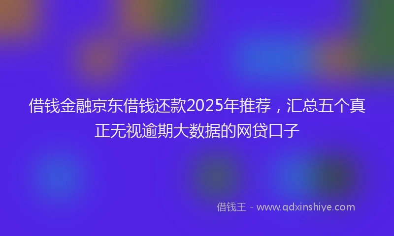 借钱金融京东借钱还款2025年推荐，汇总五个真正无视逾期大数据的网贷口子