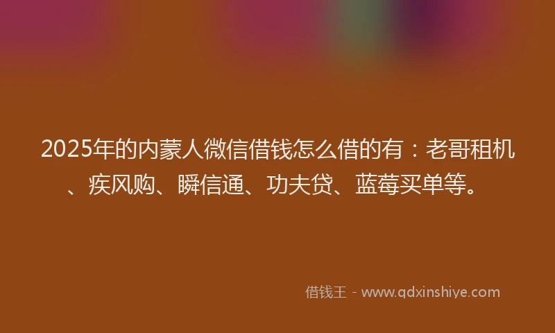 2025年的内蒙人微信借钱怎么借的有：老哥租机、疾风购、瞬信通、功夫贷、蓝莓买单等。