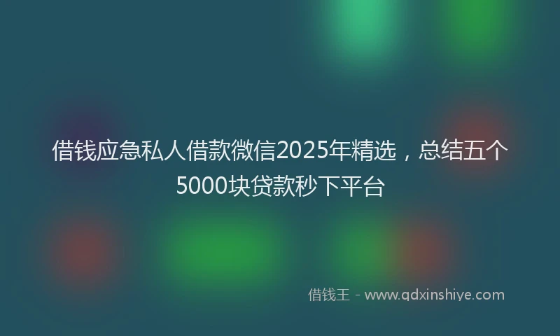 借钱应急私人借款微信2025年精选，总结五个5000块贷款秒下平台