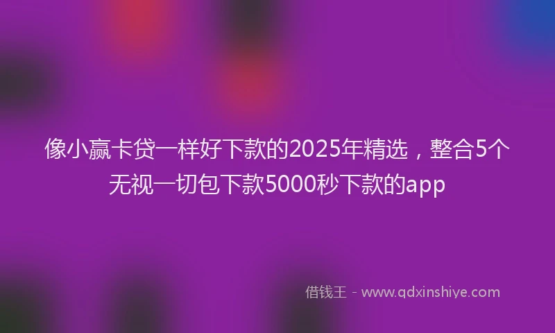 像小赢卡贷一样好下款的2025年精选，整合5个无视一切包下款5000秒下款的app