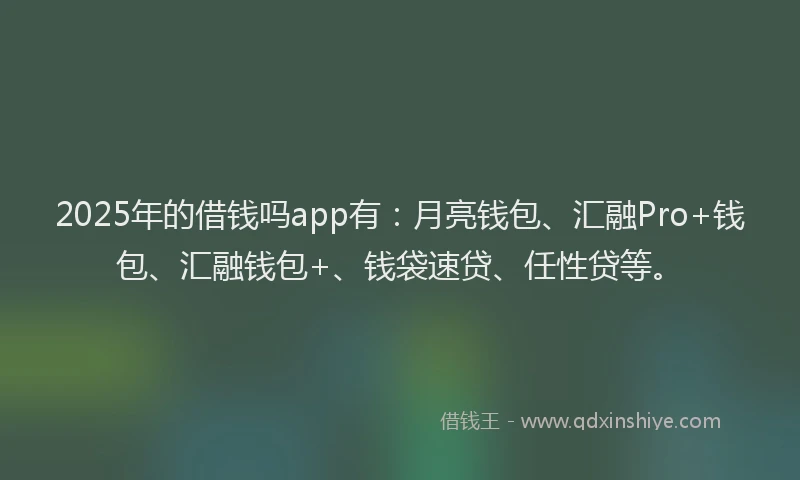2025年的借钱吗app有：月亮钱包、汇融Pro+钱包、汇融钱包+、钱袋速贷、任性贷等。