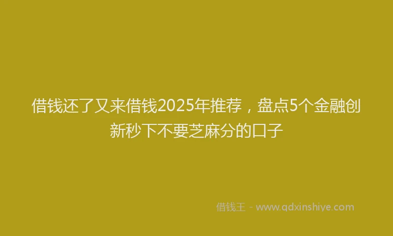 借钱还了又来借钱2025年推荐，盘点5个金融创新秒下不要芝麻分的口子