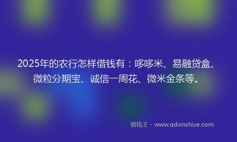 2025年的农行怎样借钱有：哆哆米、易融贷盒、微粒分期宝、诚信一周花、微米金条等。