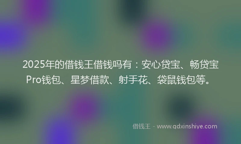 2025年的借钱王借钱吗有：安心贷宝、畅贷宝Pro钱包、星梦借款、射手花、袋鼠钱包等。