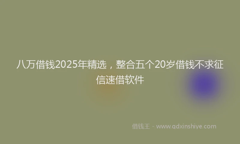八万借钱2025年精选，整合五个20岁借钱不求征信速借软件
