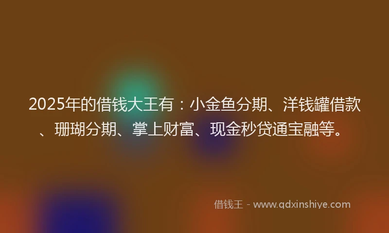 2025年的借钱大王有：小金鱼分期、洋钱罐借款、珊瑚分期、掌上财富、现金秒贷通宝融等。