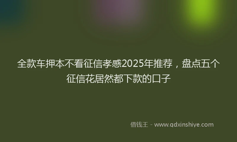 全款车押本不看征信孝感2025年推荐，盘点五个征信花居然都下款的口子