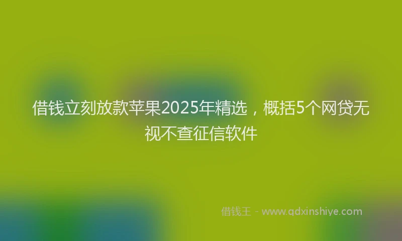 借钱立刻放款苹果2025年精选，概括5个网贷无视不查征信软件