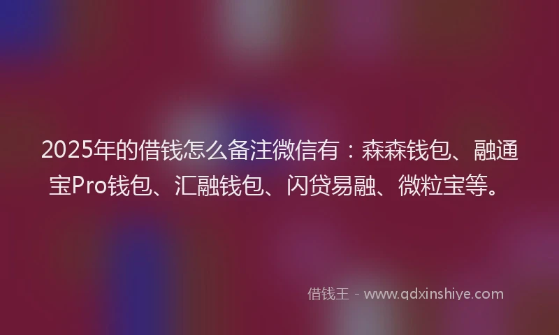 2025年的借钱怎么备注微信有：森森钱包、融通宝Pro钱包、汇融钱包、闪贷易融、微粒宝等。