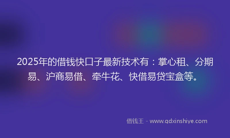 2025年的借钱快口子最新技术有：掌心租、分期易、沪商易借、牵牛花、快借易贷宝盒等。